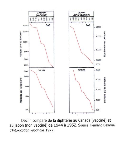 VACCINS : la colère d'un pharmacien (empoisonnement, autisme,...) - Page 2 Stat-diphterie-Canada-Japon-1944---1952_1